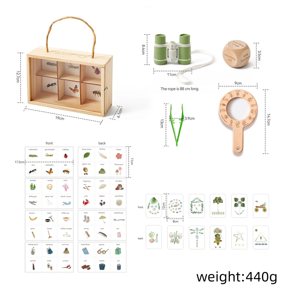 Insect Explorer Kit