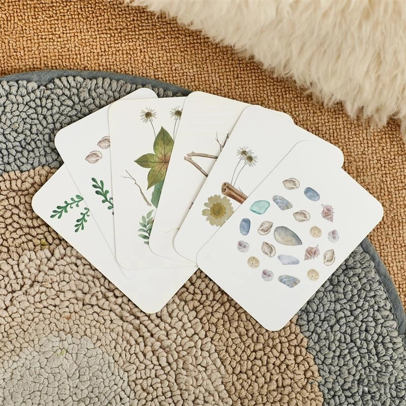Insect Explorer Kit