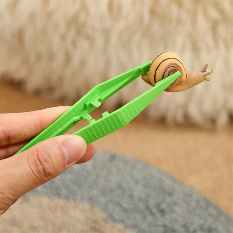 Insect Explorer Kit