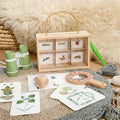 Insect Explorer Kit