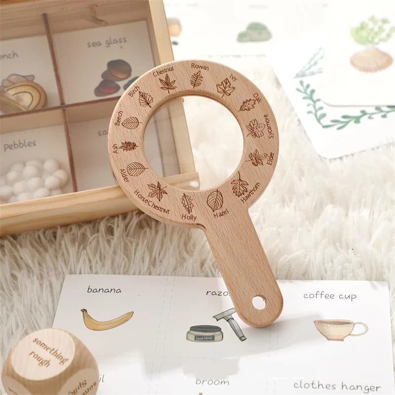 Insect Explorer Kit