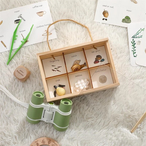 Insect Explorer Kit
