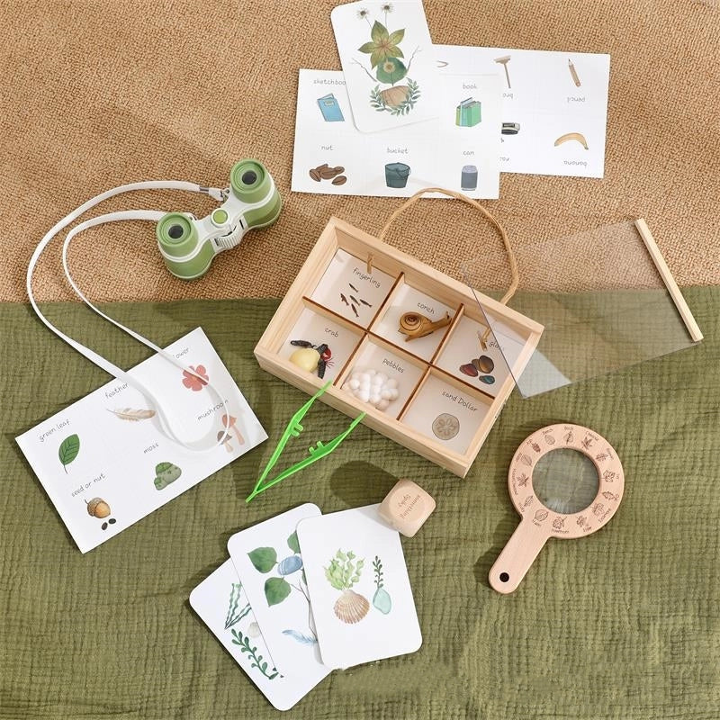 Insect Explorer Kit