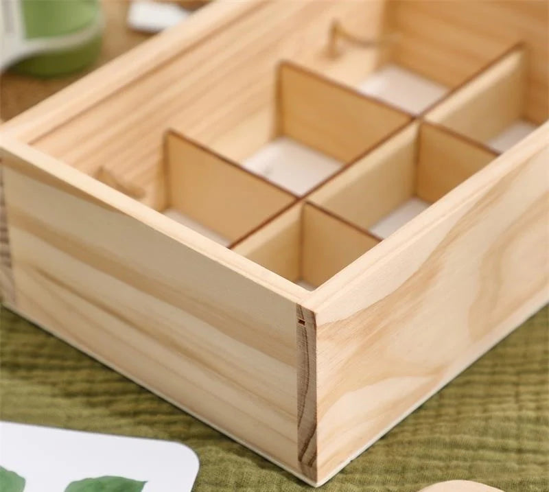 Insect Explorer Kit