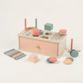 Shape Sorter Toy