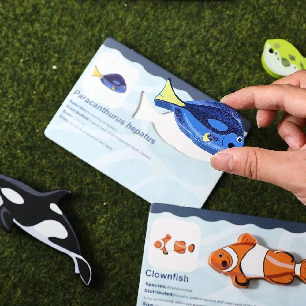 Fishing Shape Toy