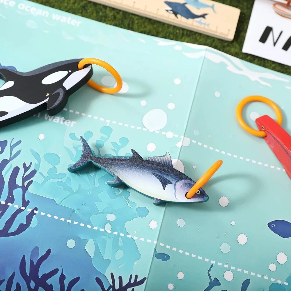 Fishing Shape Toy